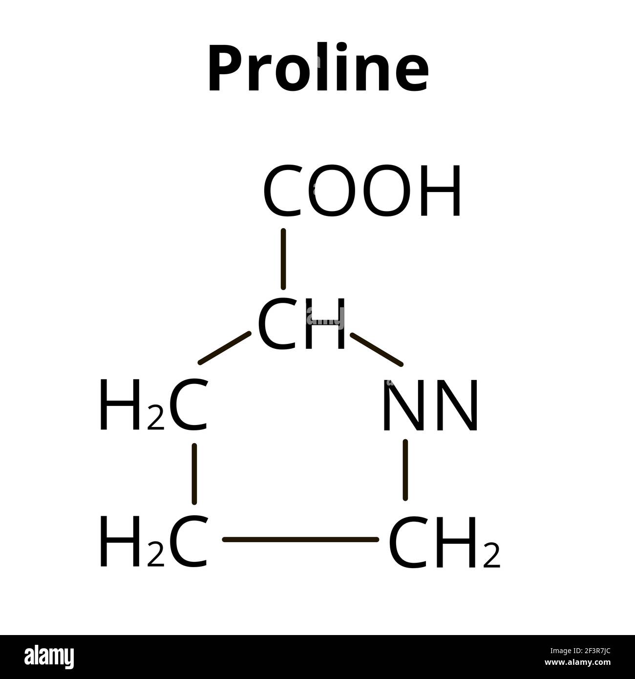 Structure Of Proline