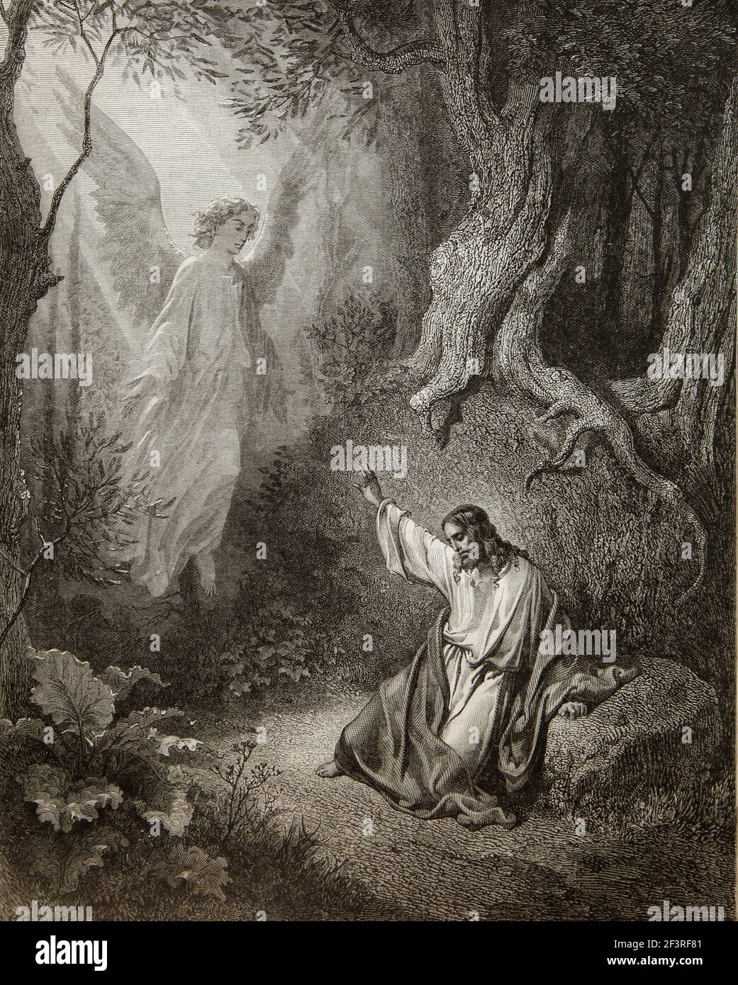 Jesus Christ Praying In The Garden Of Gethsemane