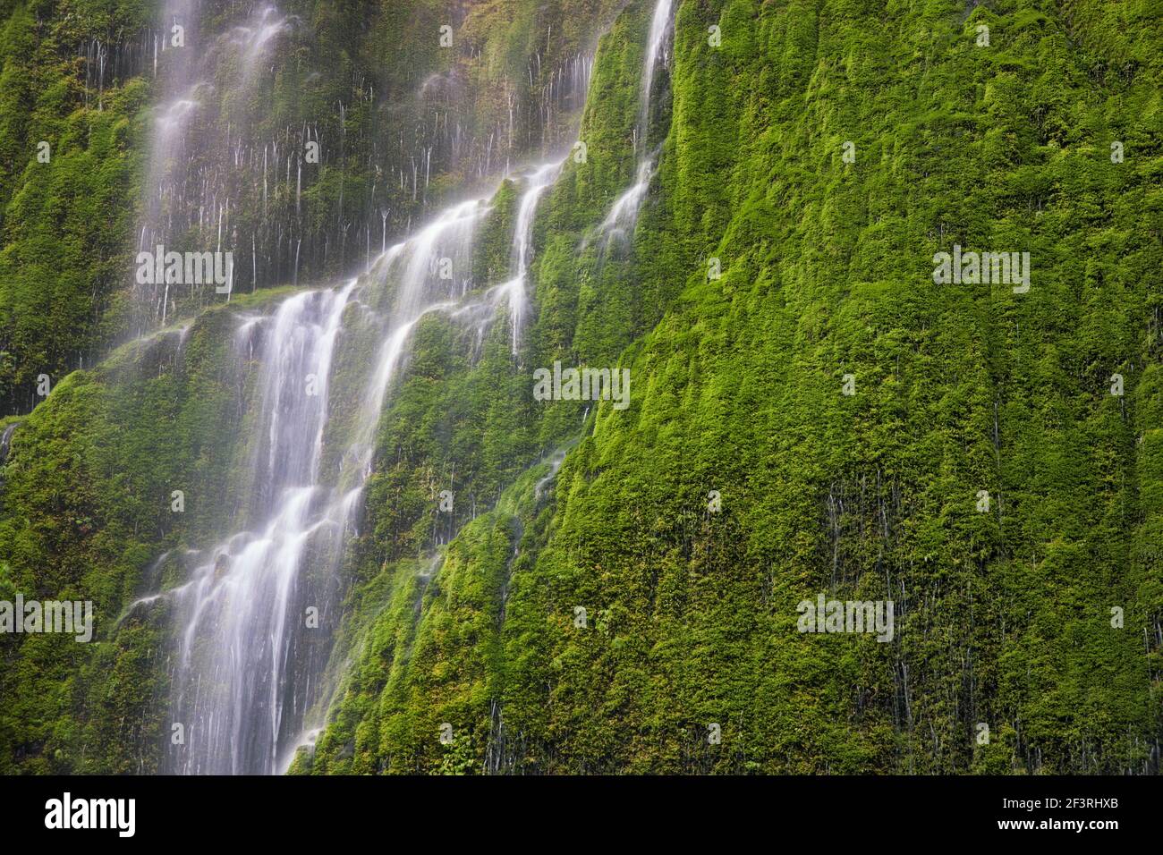 Seasonal waterfall along Oregon’s Tanner Creek. Stock Photo