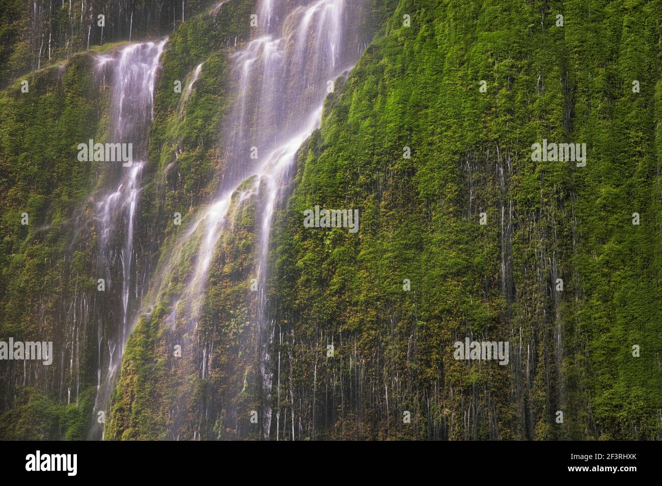 Seasonal waterfall along Oregon’s Tanner Creek Stock Photo