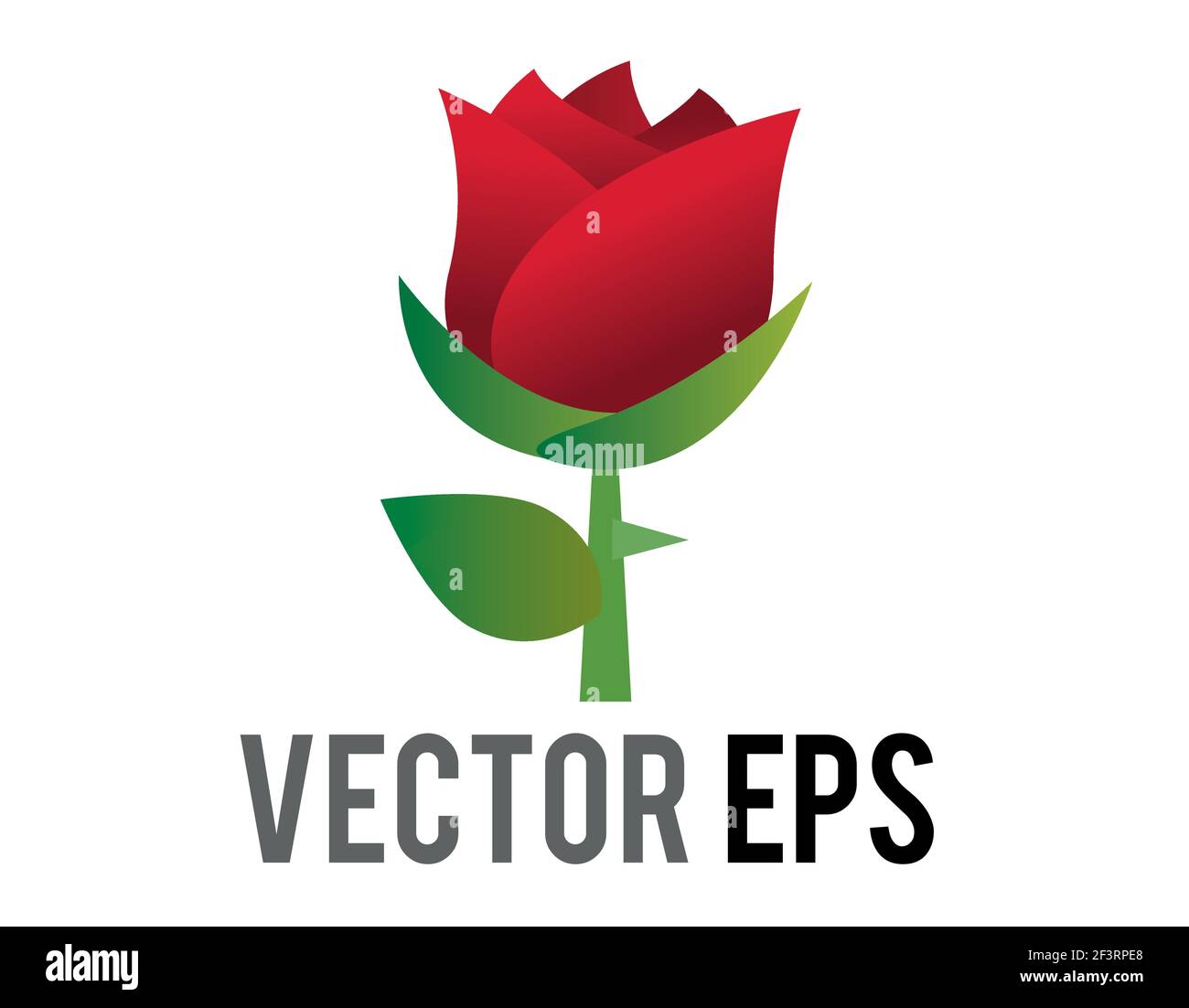 Decorative Set Rose Long Stem Vector Stock Vector (Royalty Free