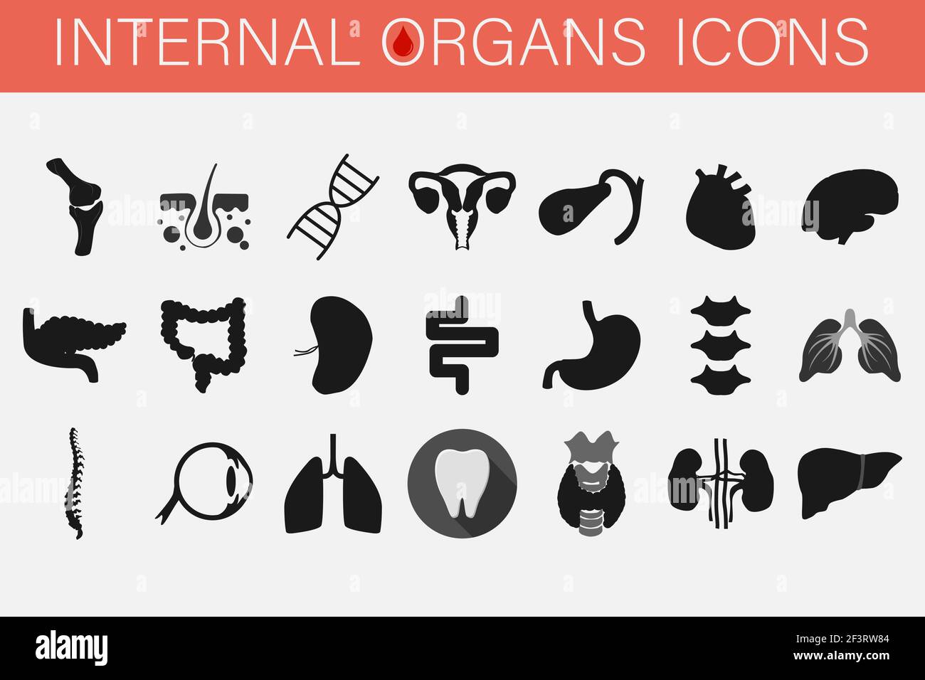 Set of icons of internal organs and parts of man. Stock Vector