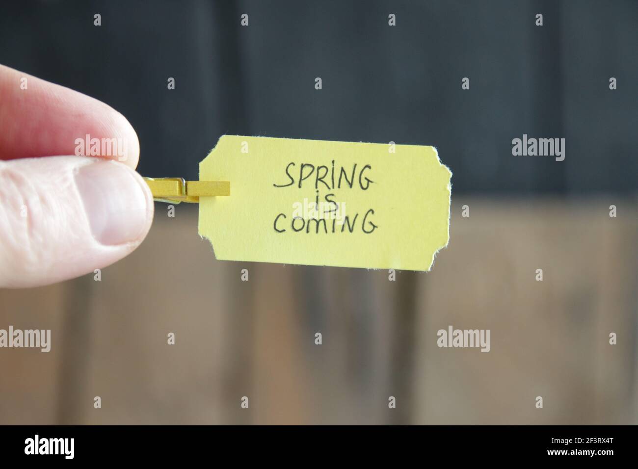 Spring Is Coming Concept Label Inscription Stock Photo Alamy spring-is-coming-concept-label-inscription-stock-photo-alamy