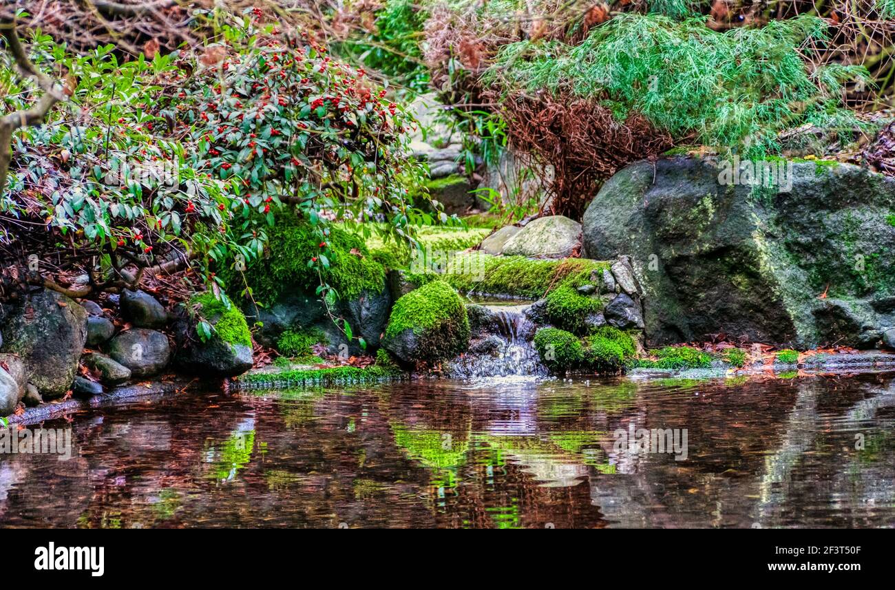 Macro background of small park laguna with a pond and stones Stock Photo