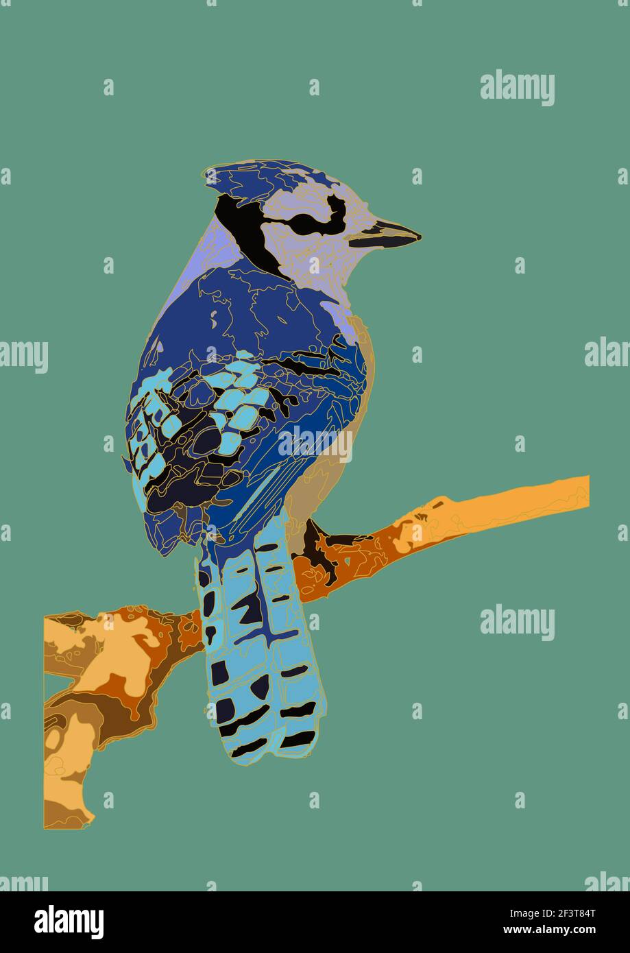 An illustration of the blue jay perched on a branch on green background Stock Photo