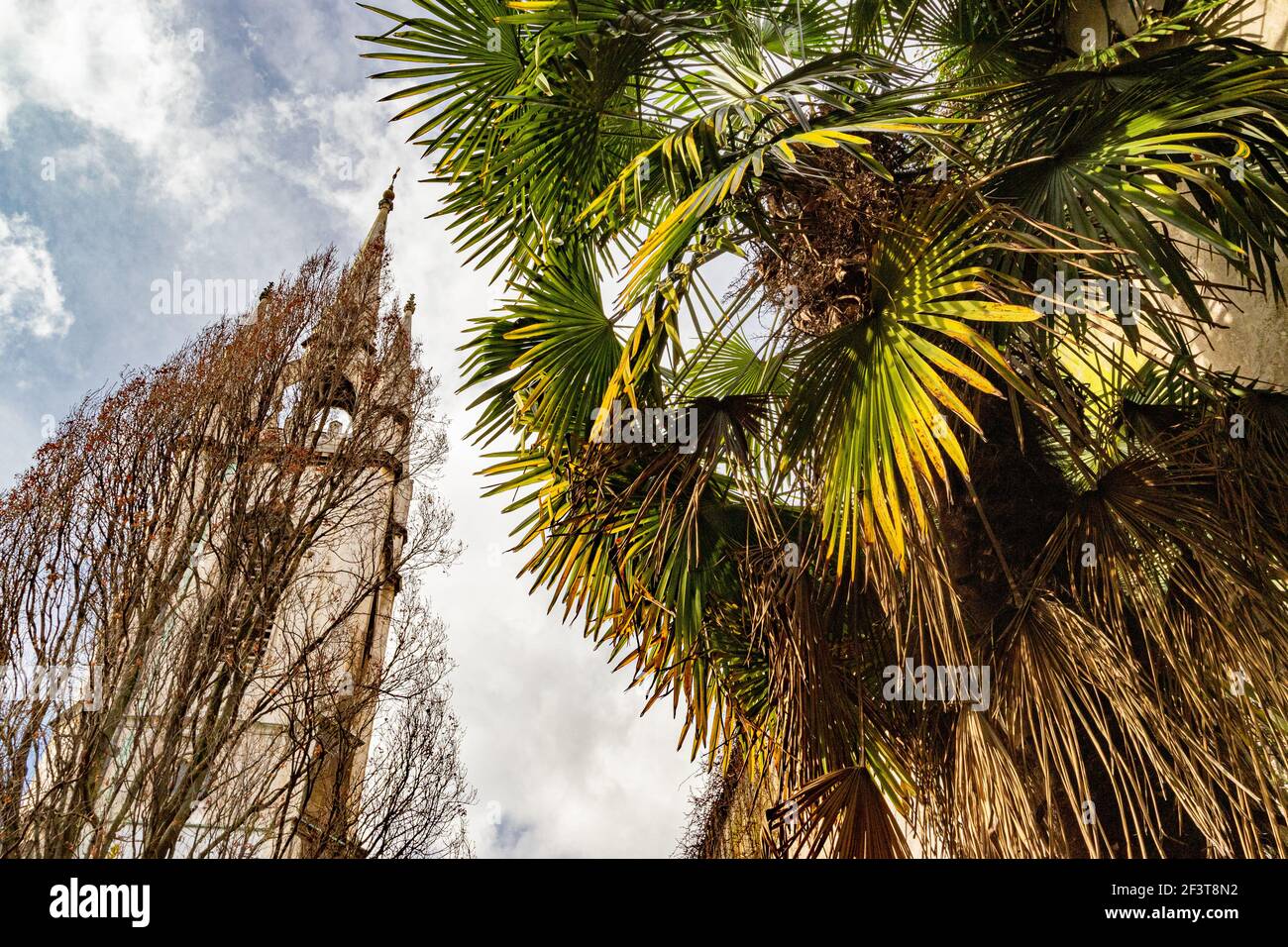 Looking up at a gothic church tower and fan palm tree, creating a slight Mediterranean feel. St Dunstan-in-the-East, City of London - Stock Image