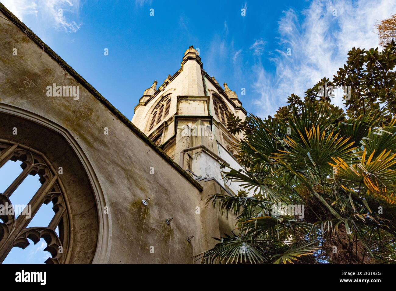 Looking up at the tower of St Dunstan in the East with Fan Palm and gothic arced window - Stock Image