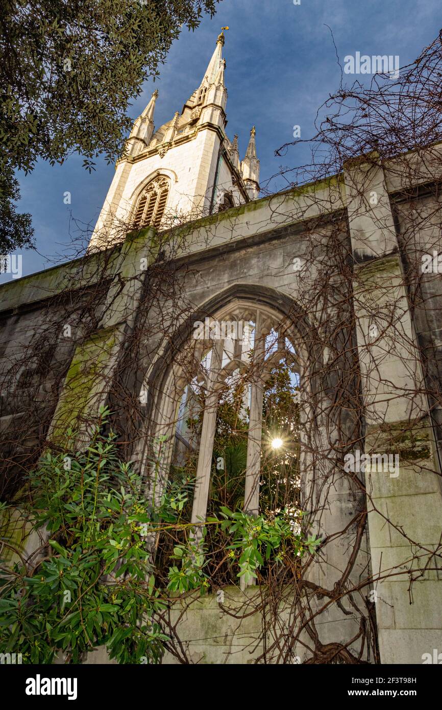 Foliage intertwined with a gothic arched window of St Dunstan in the East, London - Stock Image