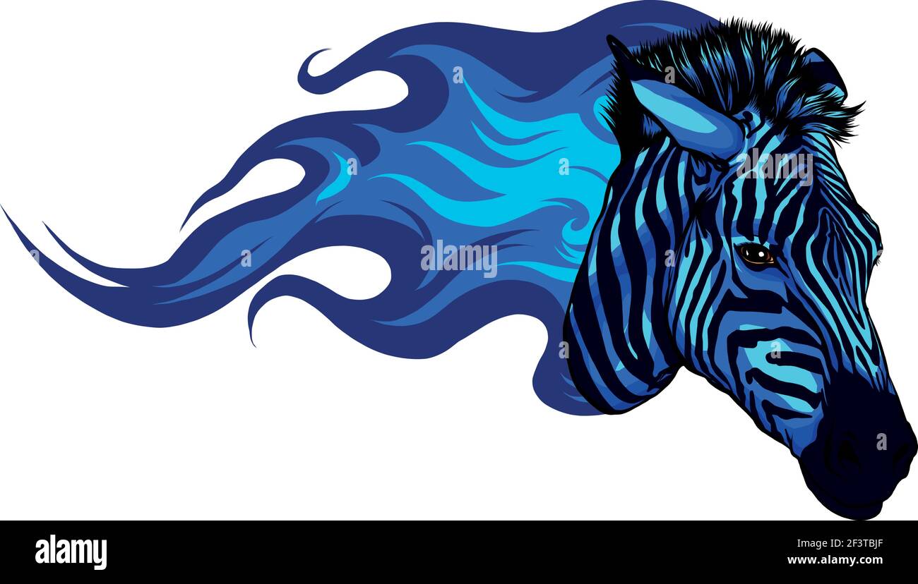 fiery head zebra colored blue vector illustration Stock Vector