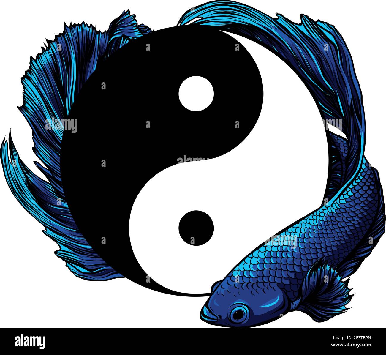 betta splendens fish around Yin Yang vector illustration Stock Vector