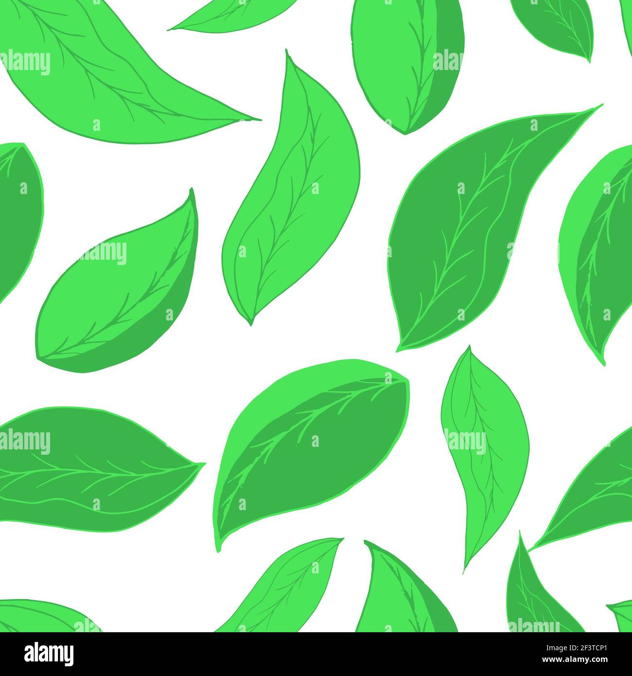 vector seamless pattern green leaves. Fresh greens spring summer. For ...