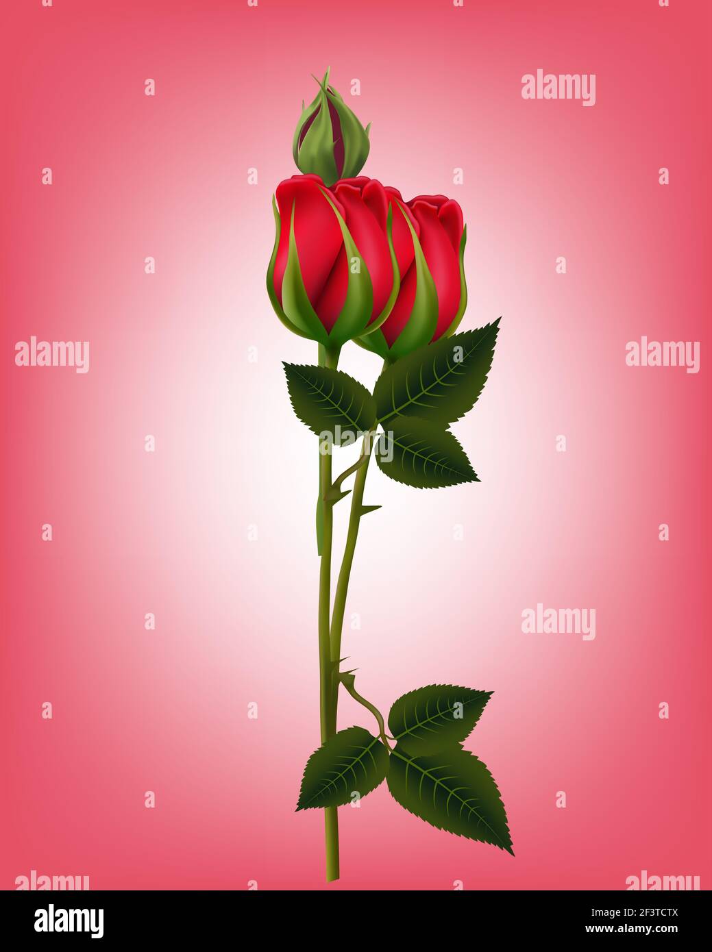 3d illustration of red rose for mother's day Stock Photo