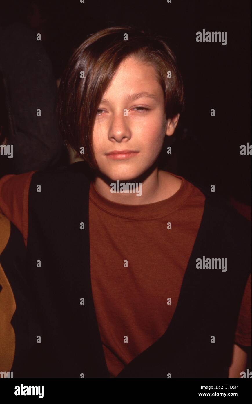 Edward Furlong attends the Bill & Ted's Bogus Journey Hollywood Premiere on July 11, 1991 at Mann's Chinese Theatre in Hollywood, California  Credit: Ralph Dominguez/MediaPunch Stock Photo