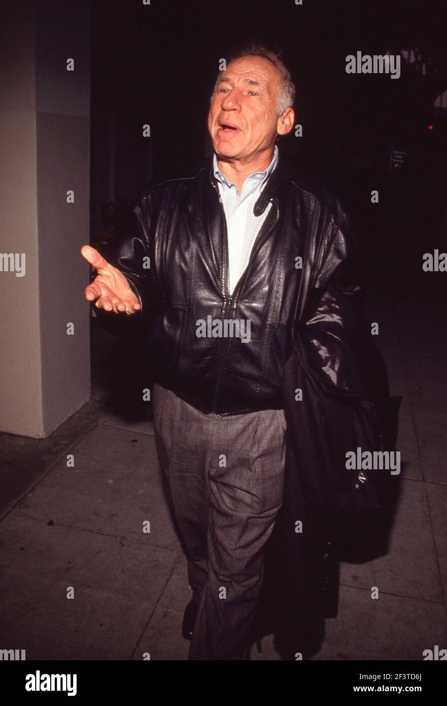 Mel Brooks 1991 Credit: Ralph Dominguez/MediaPunch Stock Photo - Alamy
