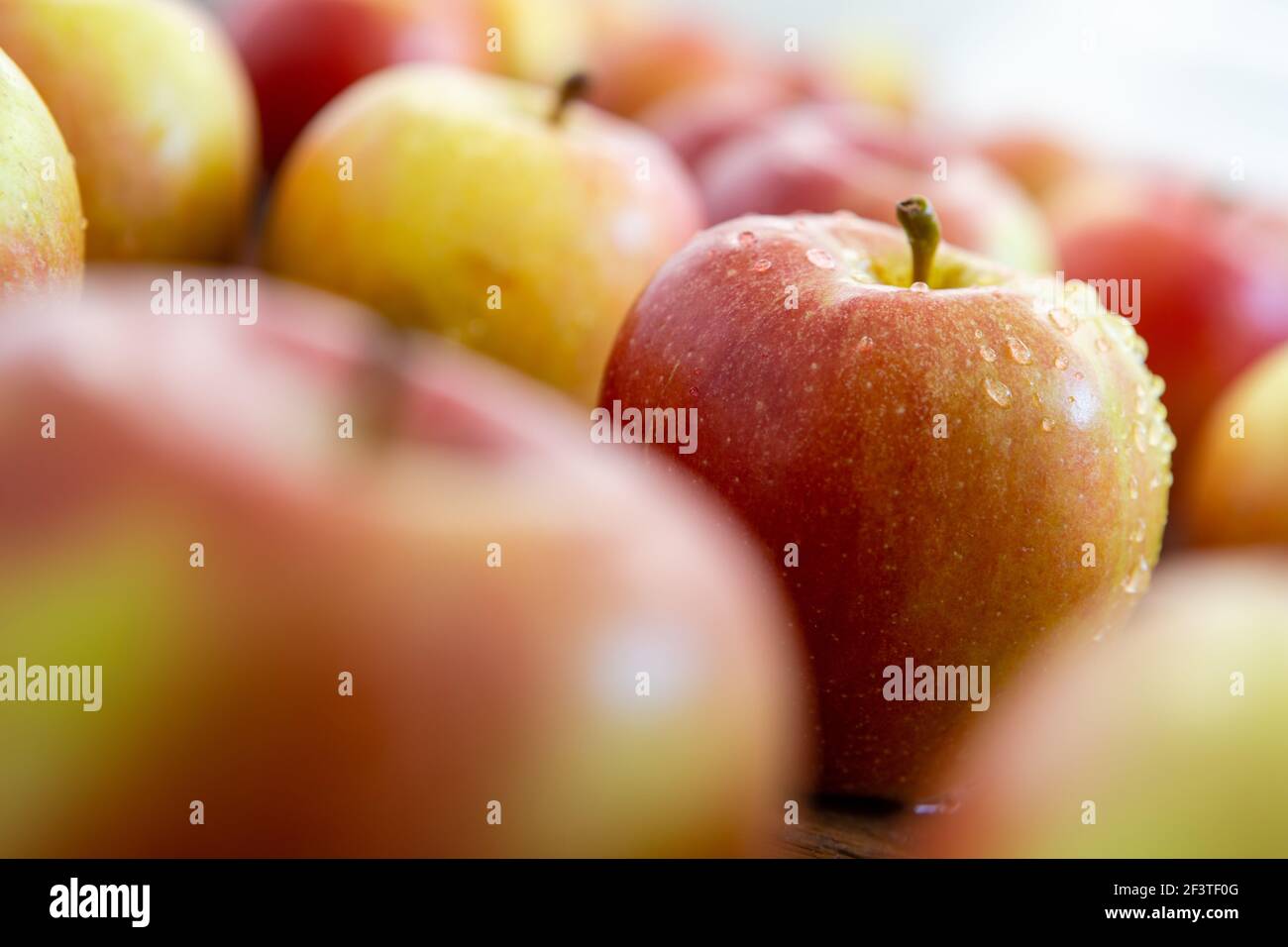 Apples shot on a wooden background with a summery feel. Stock Photo
