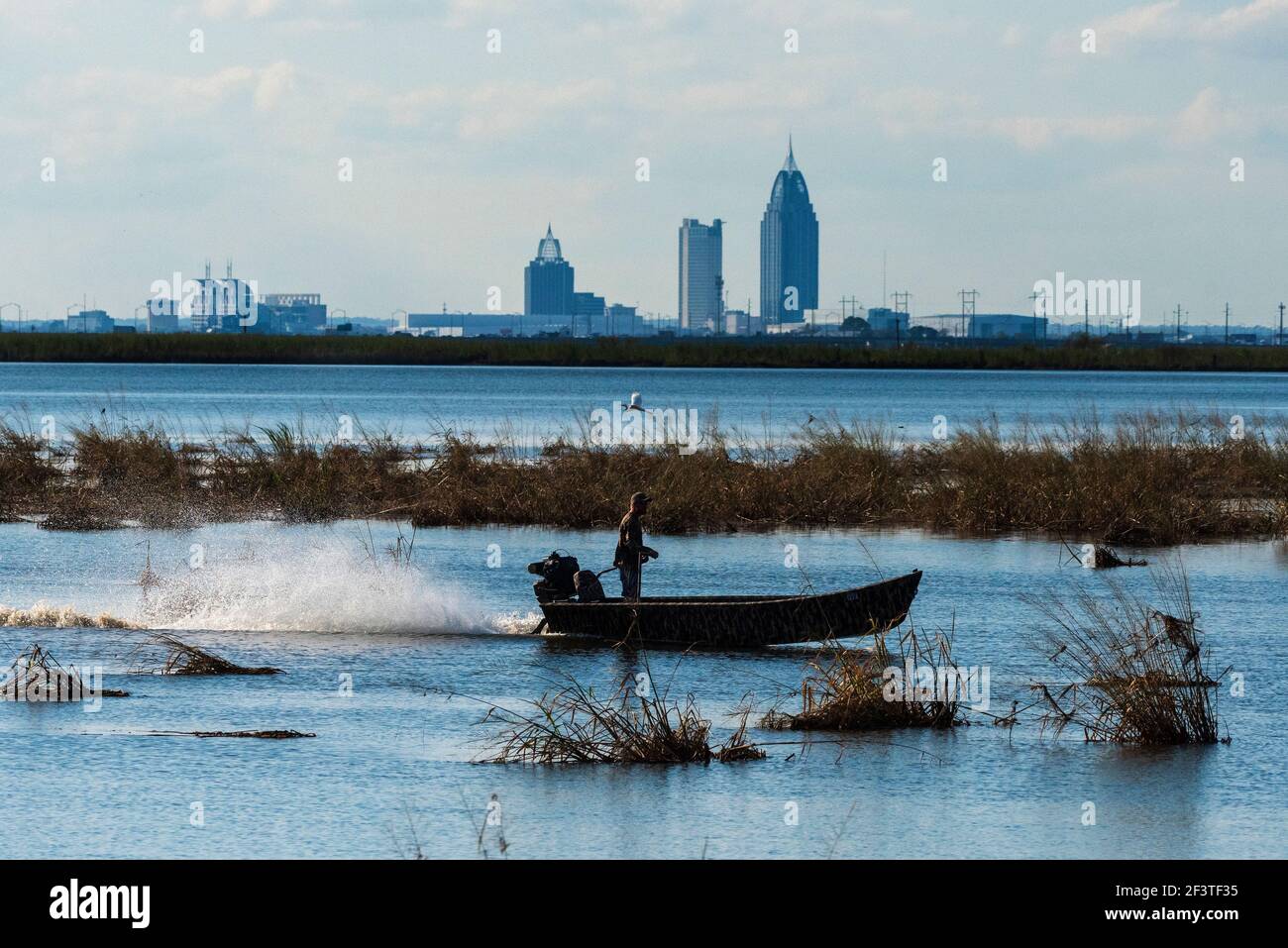 A man pilots a boat through a wetland at Meaher State Park in Alabama with the skyline of Mobile rising in the background. Stock Photo