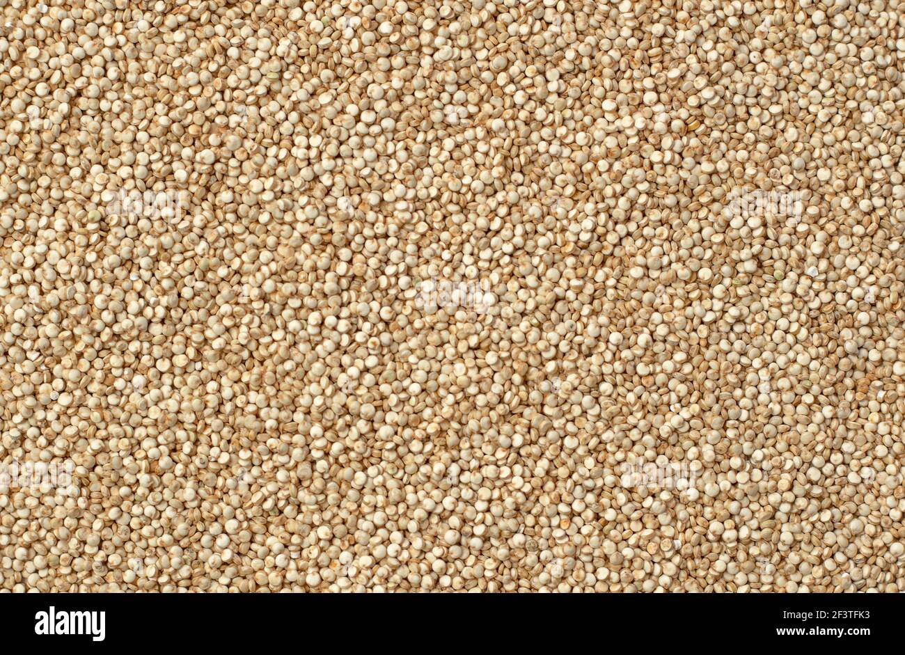 Quinoa grain or seeds for texture or ingredient background Stock Photo