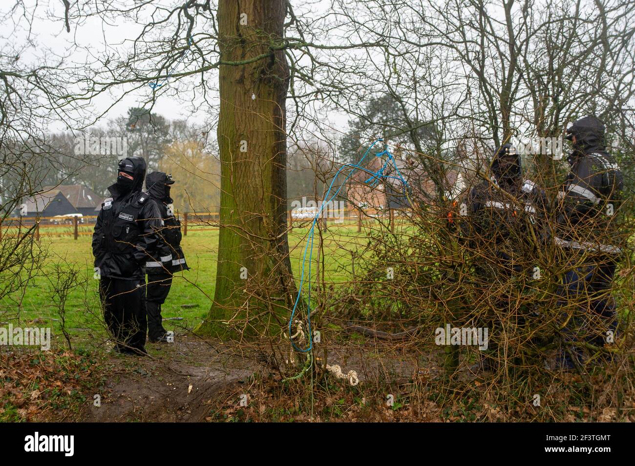 Great Missenden, Buckinghamshire, UK. 10th March, 2021. Early this morning HS2 Ltd and the National Eviction Team evicted Stop HS2 activists from the Leather Lane Protest Camp. HS2 were cutting limbs off an oak tree underneath a potential bat roost as well as destroying hedgerows before they destroy a row of iconic oak trees and build a temporary haul road. A wildlife crime was reported to Thames Valley Police. The controversial High Speed 2 rail link from London to Birmingham is carving a huge scar across the Chilterns. Credit: Maureen McLean/Alamy Stock Photo