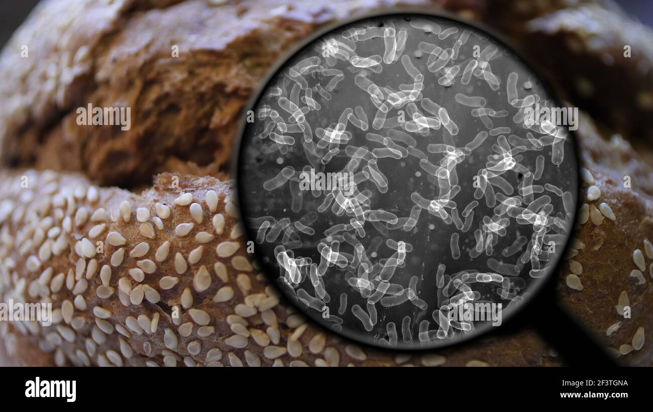 Biologic bread hi-res stock photography and images - Alamy