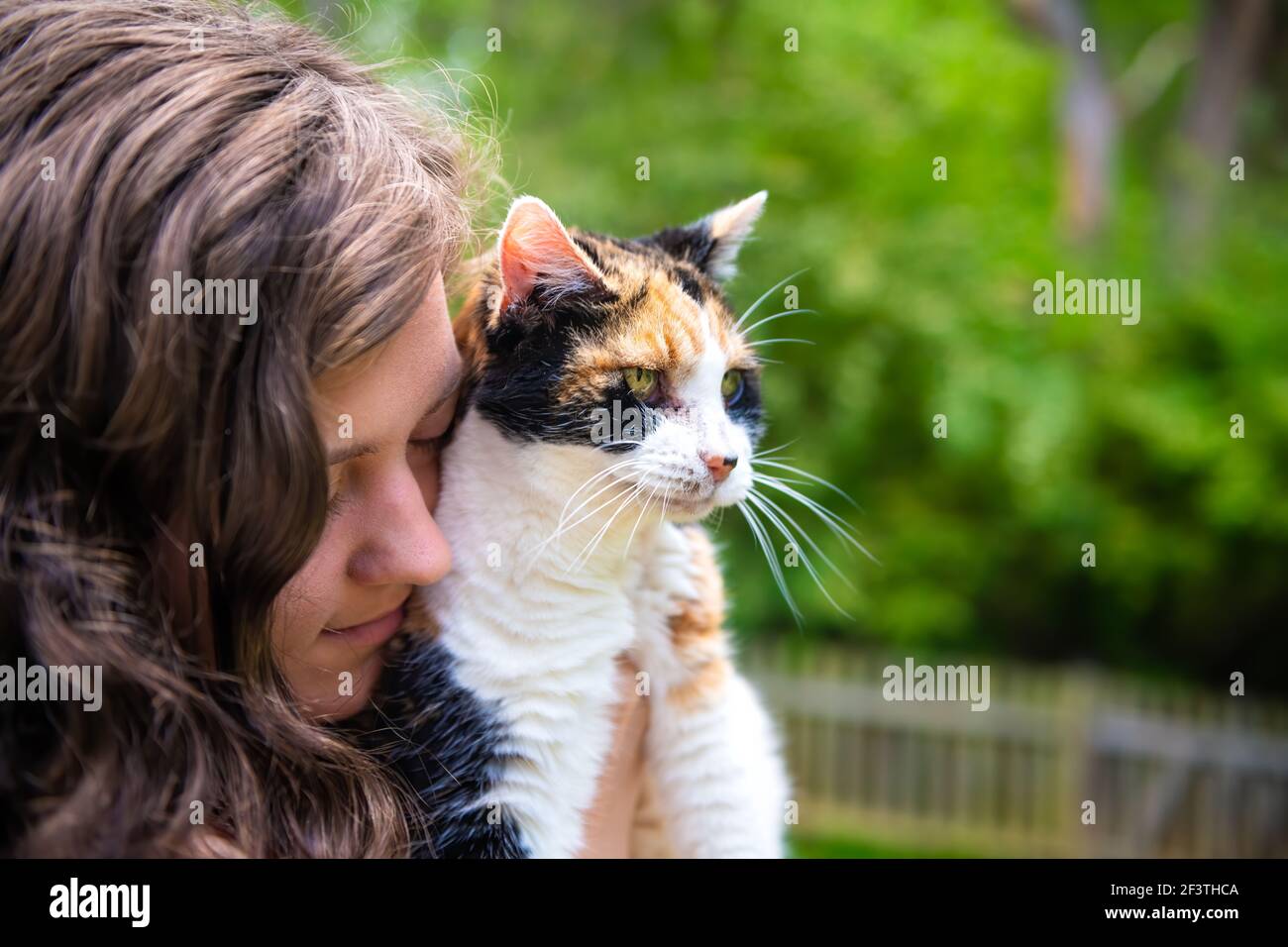 Closeup portrait of happy smiling young woman bonding holding in hands calico cat pet companion, bumping rubbing bunting heads, friends showing affect Stock Photo