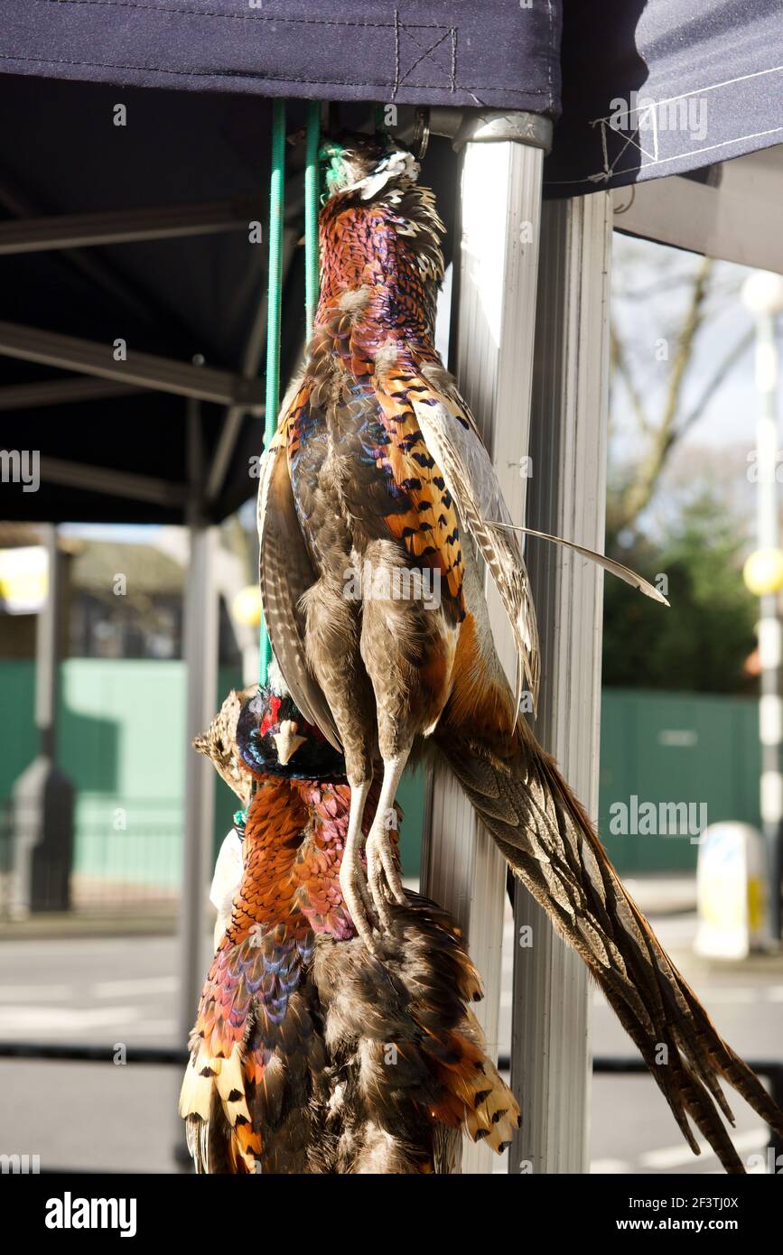 Pheasants for sale at Farmers Market Stock Photo