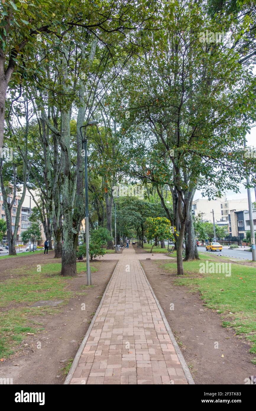Central alley of the street of the Parkway, La soledad, Teusaquillo, Bogota, Colombia Stock Photo