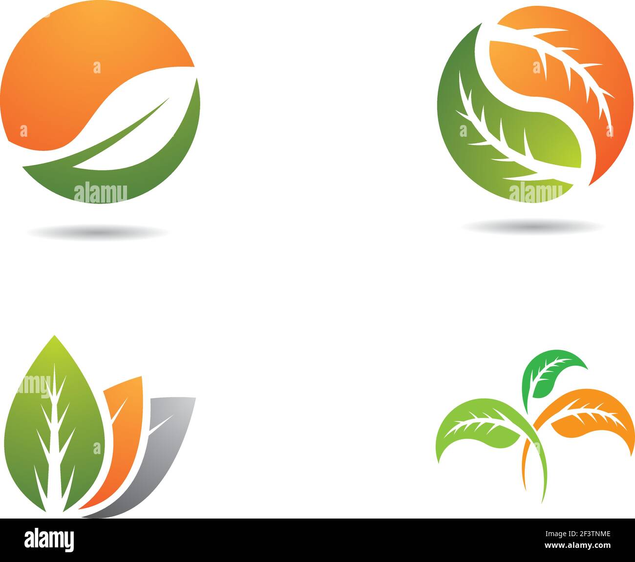 Logos of green leaf ecology nature element vector icon Stock Vector ...