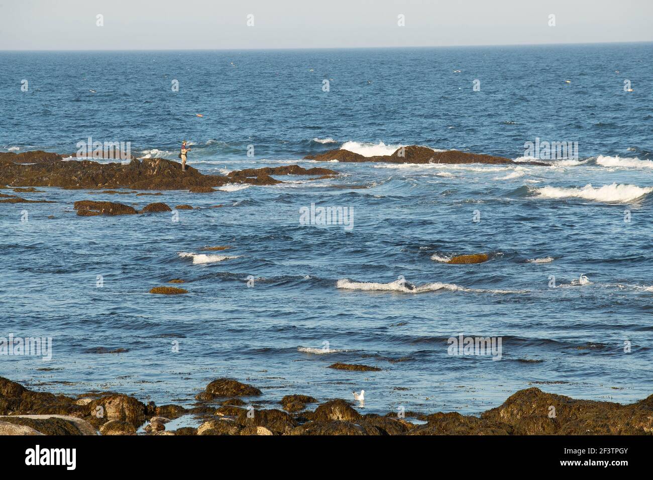 The fishing capital of the USA, that's what Gloucester stands for. Hot