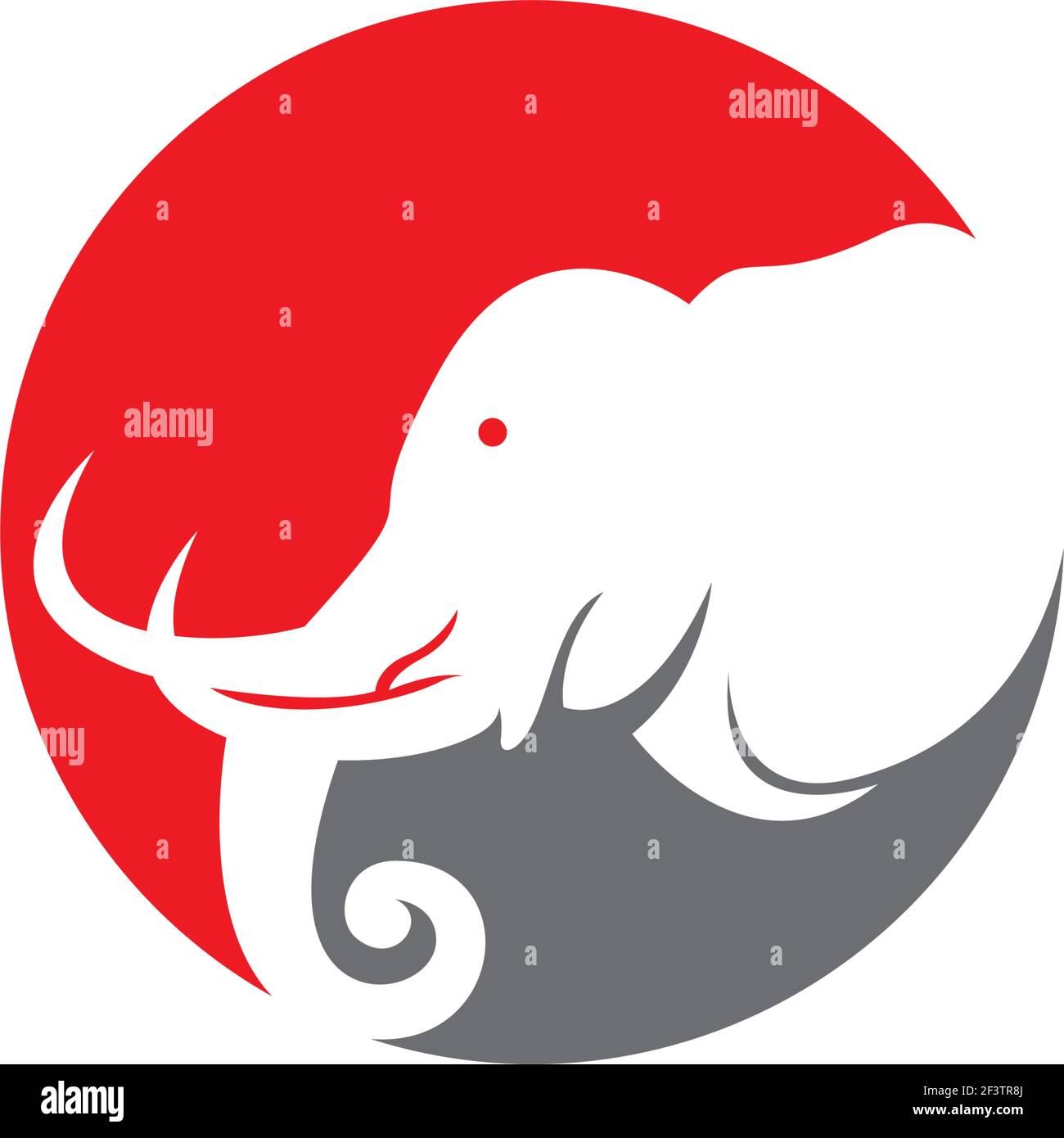 Elephant teeth drawing hi-res stock photography and images - Alamy