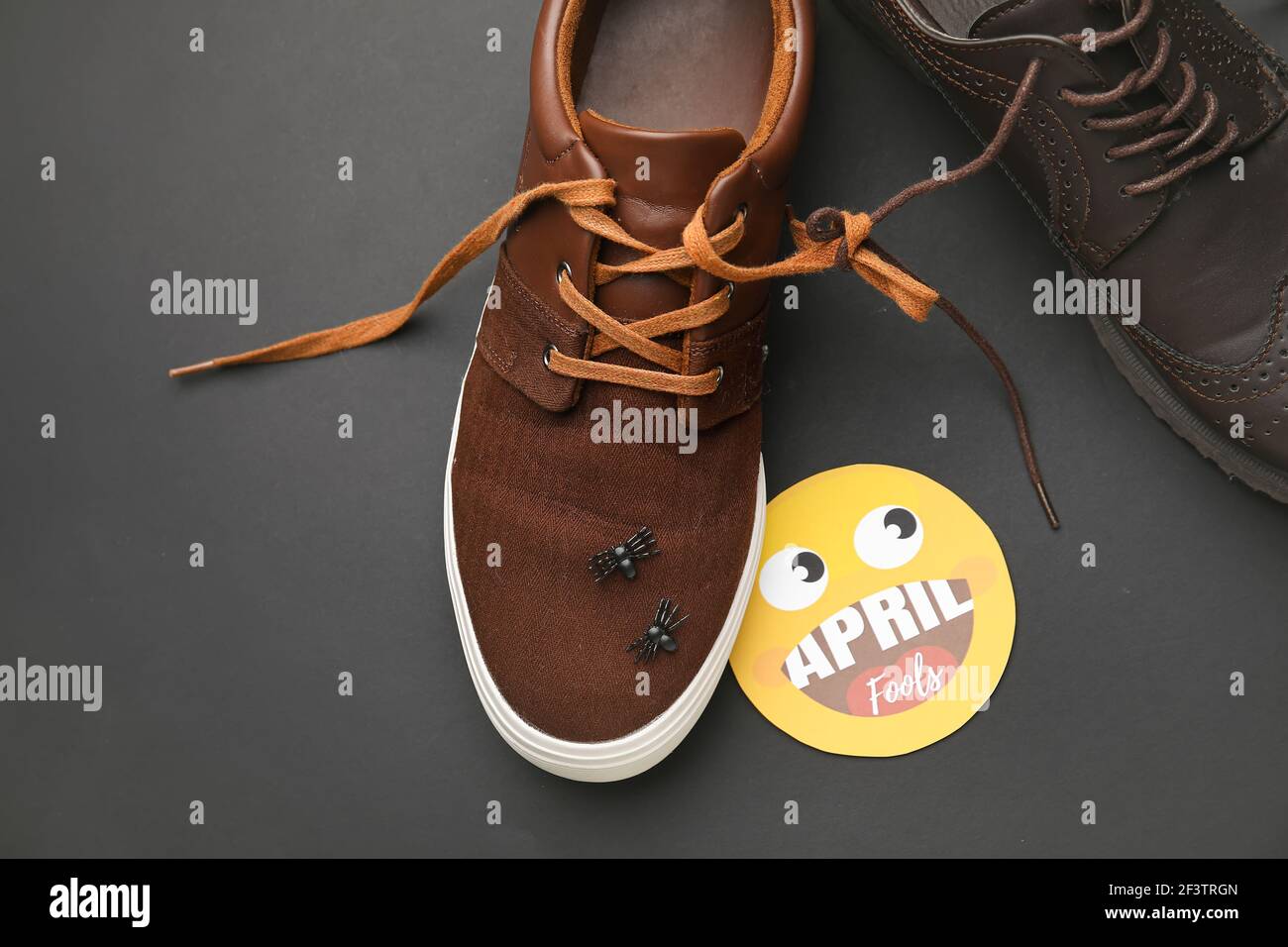 Different shoes with tied laces and fake spiders on dark background