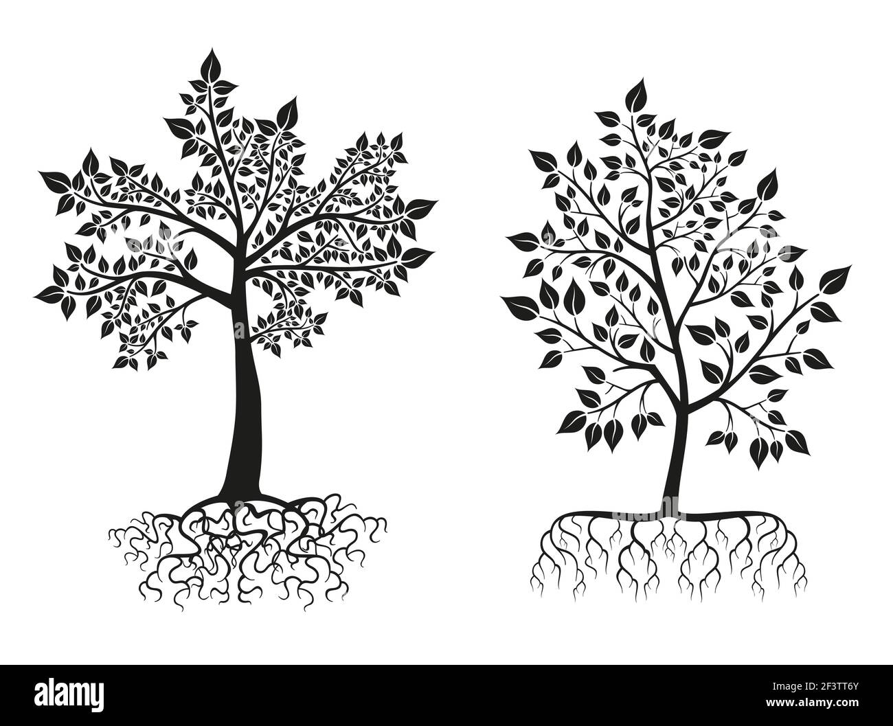 Black trees and roots silhouettes with leaves. Tree root, flora tree