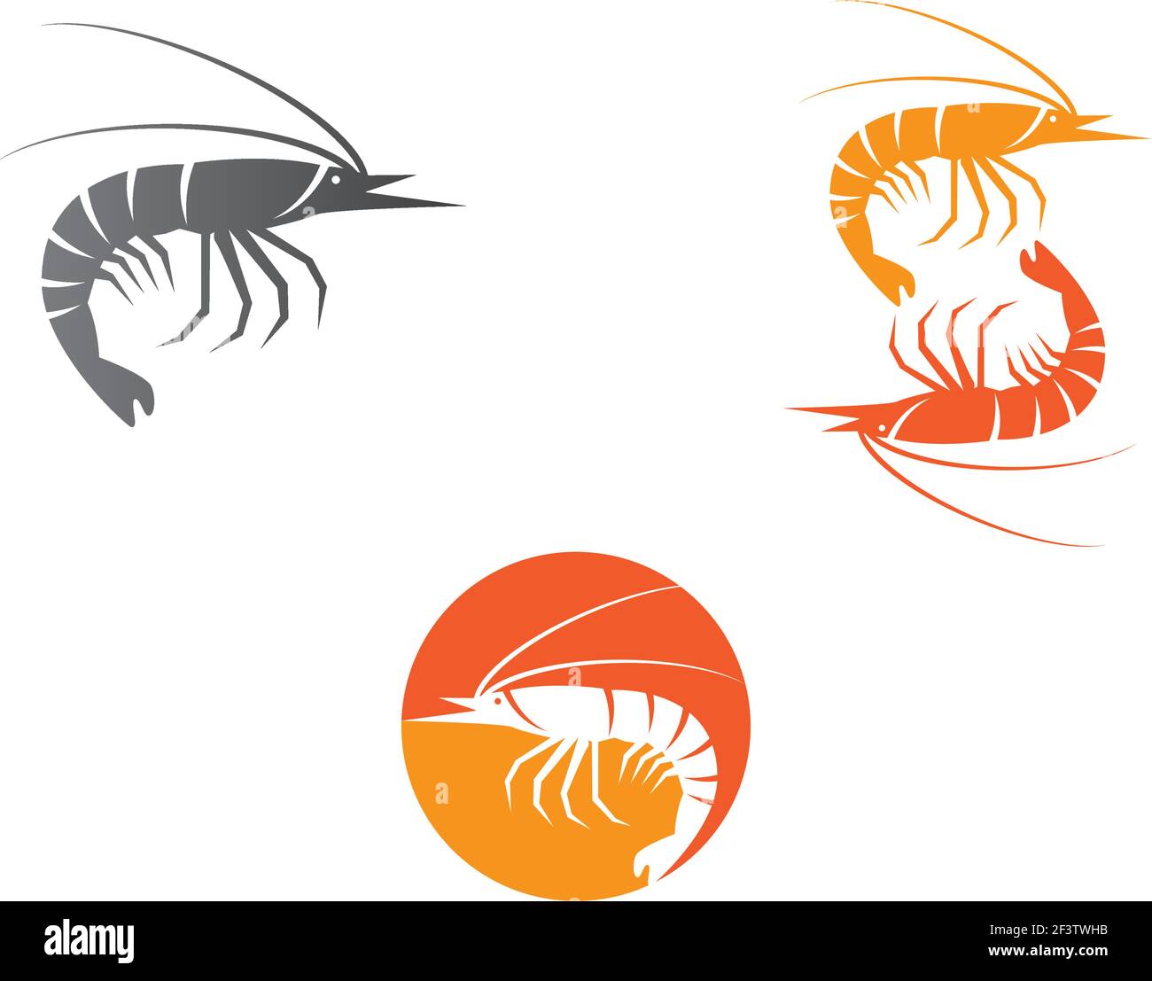 Shrimp logo template vector icon illustration design Stock Vector Image & Art Alamy