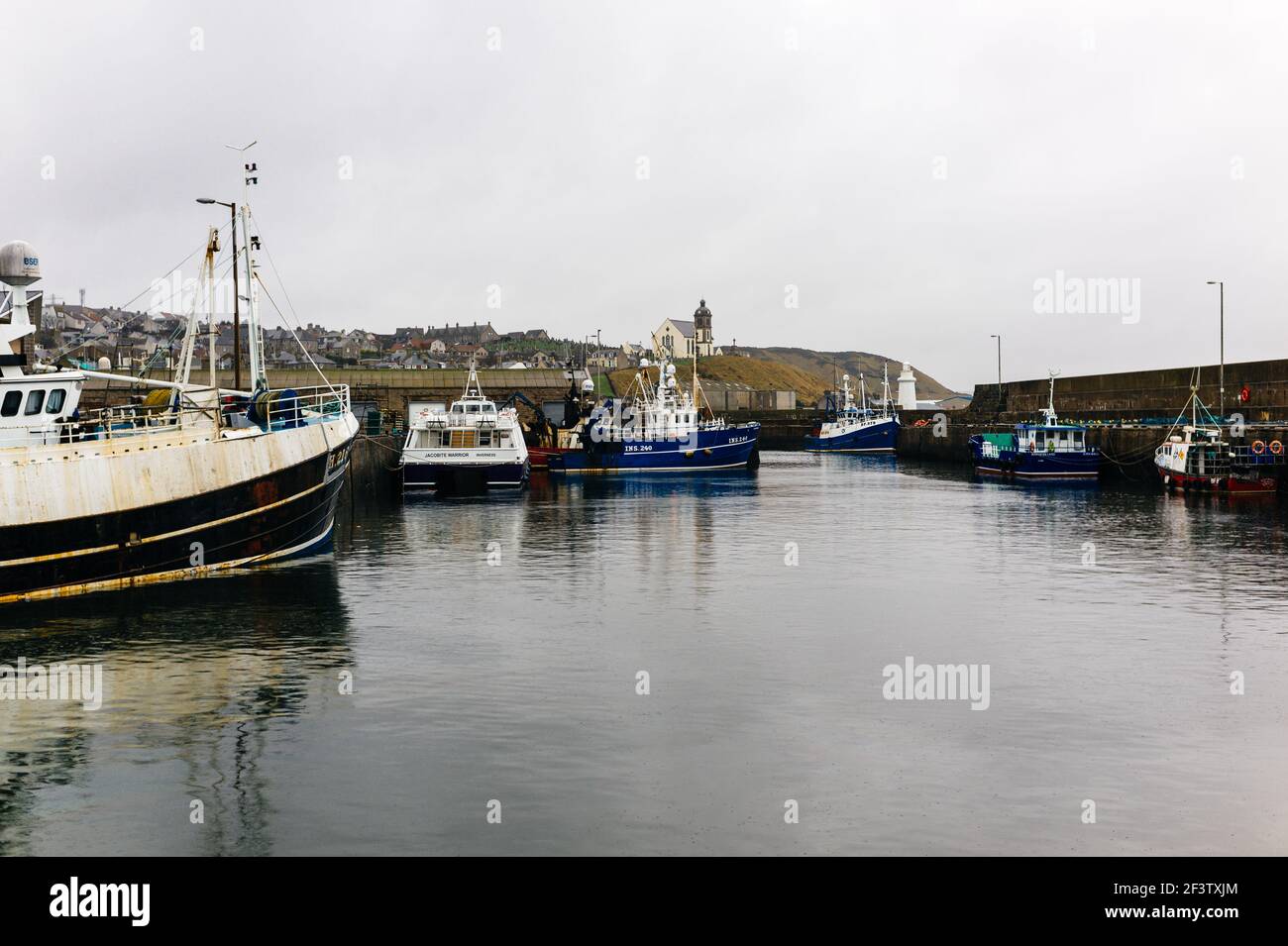 Cod white fleet hi-res stock photography and images - Alamy