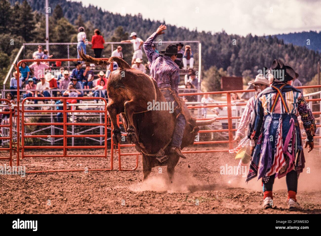 Stand assist hi-res stock photography and images - Alamy