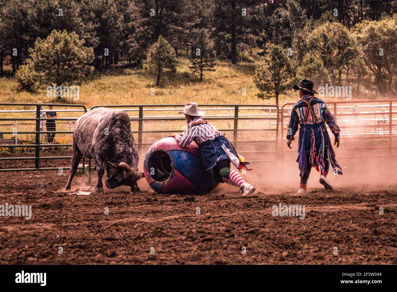 Rodeo clowns hi-res stock photography and images - Alamy