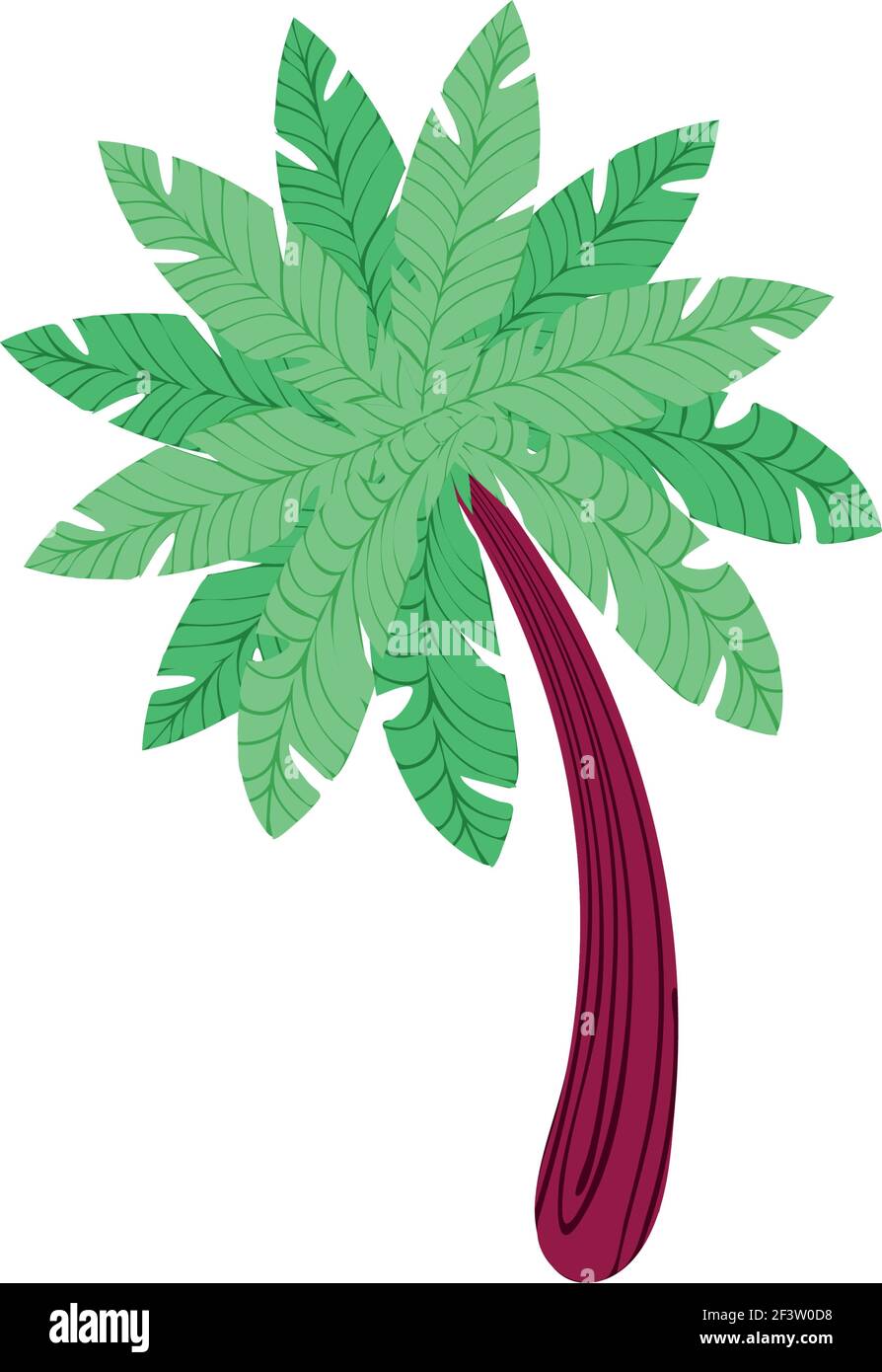 tropical palm tree exotic isolated Stock Vector Image & Art - Alamy