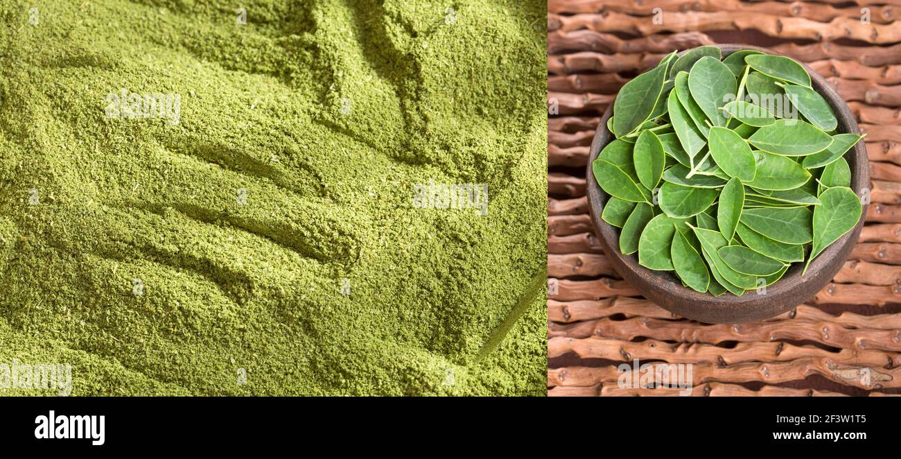 Fresh leaves and moringa powder - Moringa oleifera Stock Photo - Alamy