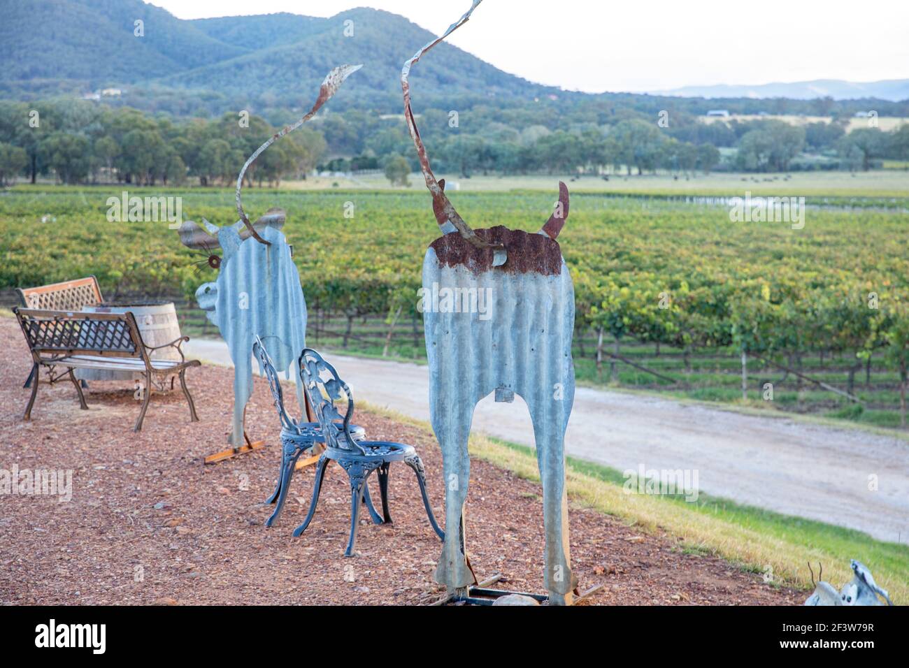Mudgee wine region sculptures and art at Robert Stein Vineyard winery