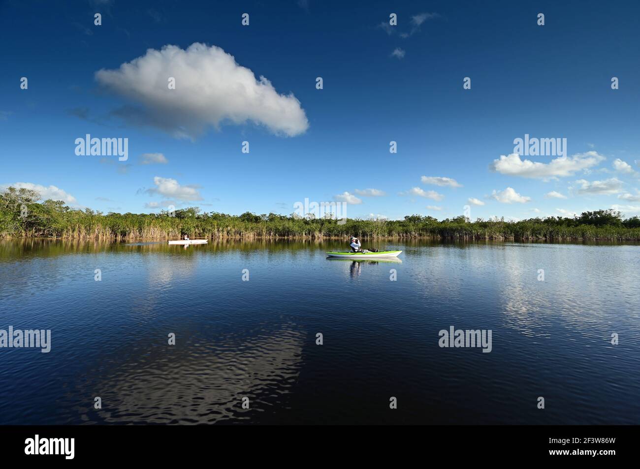 Woman and active senior kayaking on Nine Mile Pond in Everglades National Park. Stock Photo
