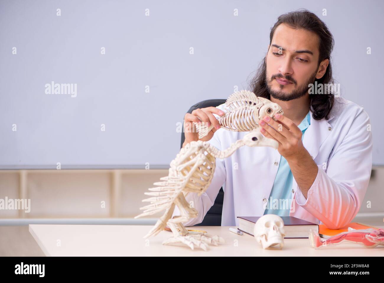 Studying fish anatomy hi-res stock photography and images - Alamy
