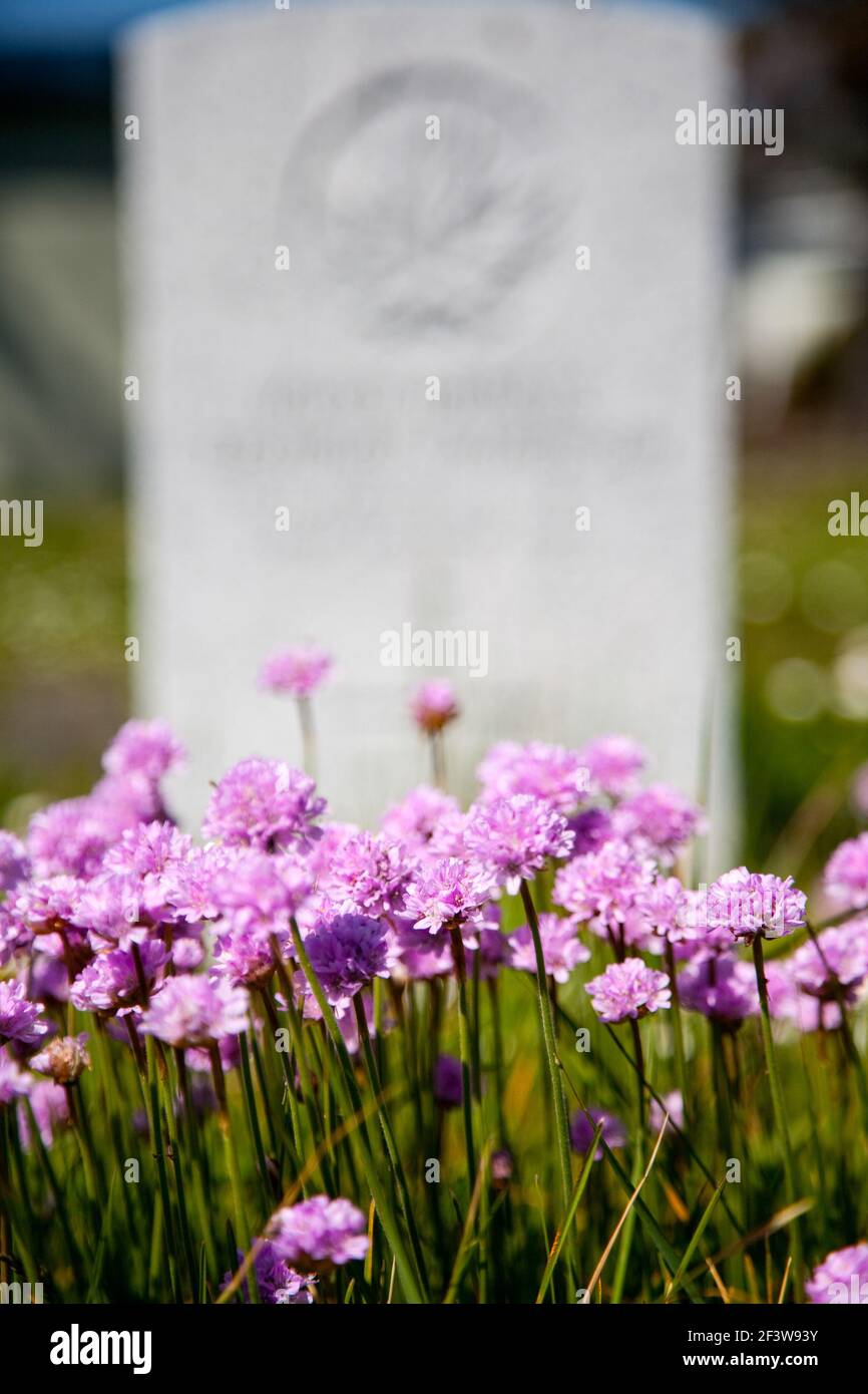 flowers blooming beside veteran's grave, Ross Bay Cemetery, Victoria