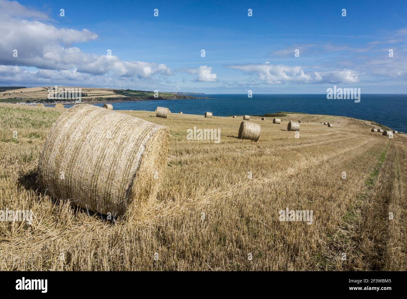 Hay bales in a harvested field on a sunny summer day near Stonehaven on the north east coast of Scotland Stock Photo