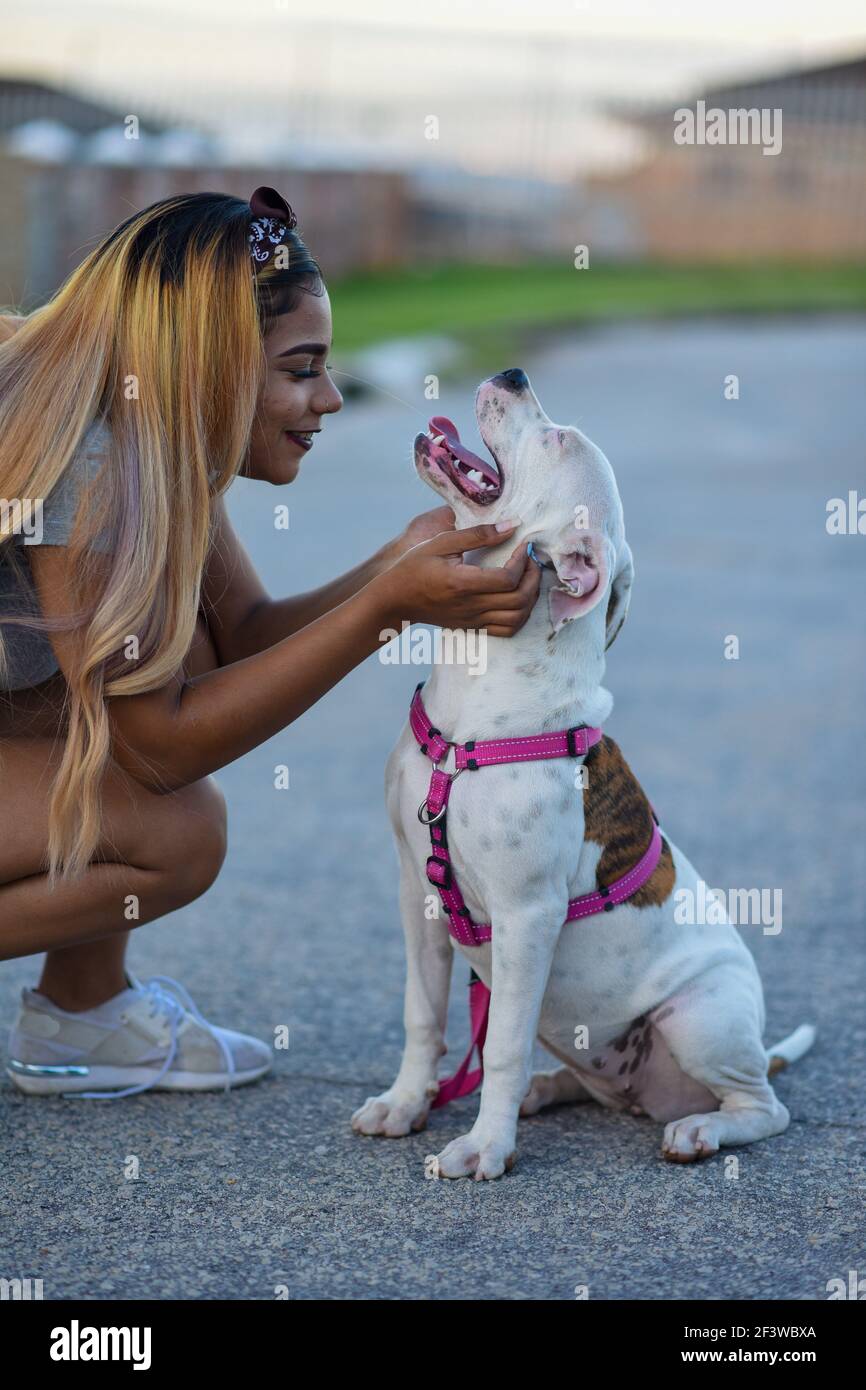 Woman showing affecting towards her pitbull puppy Stock Photo Alamy