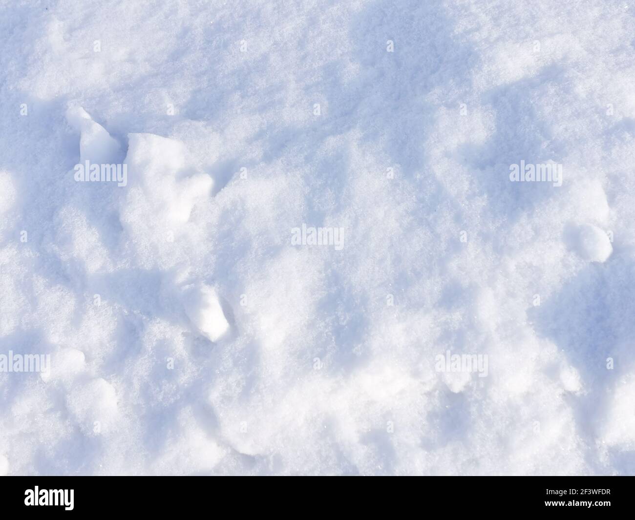 Fresh snow as a background Stock Photo - Alamy