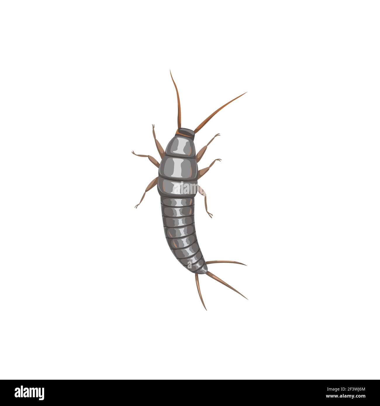 Silverfish or firebrat icon, insect pest control disinsection and extermination, vector. Silverfish firebrat insect, domestic parasites disinfection a Stock Vector