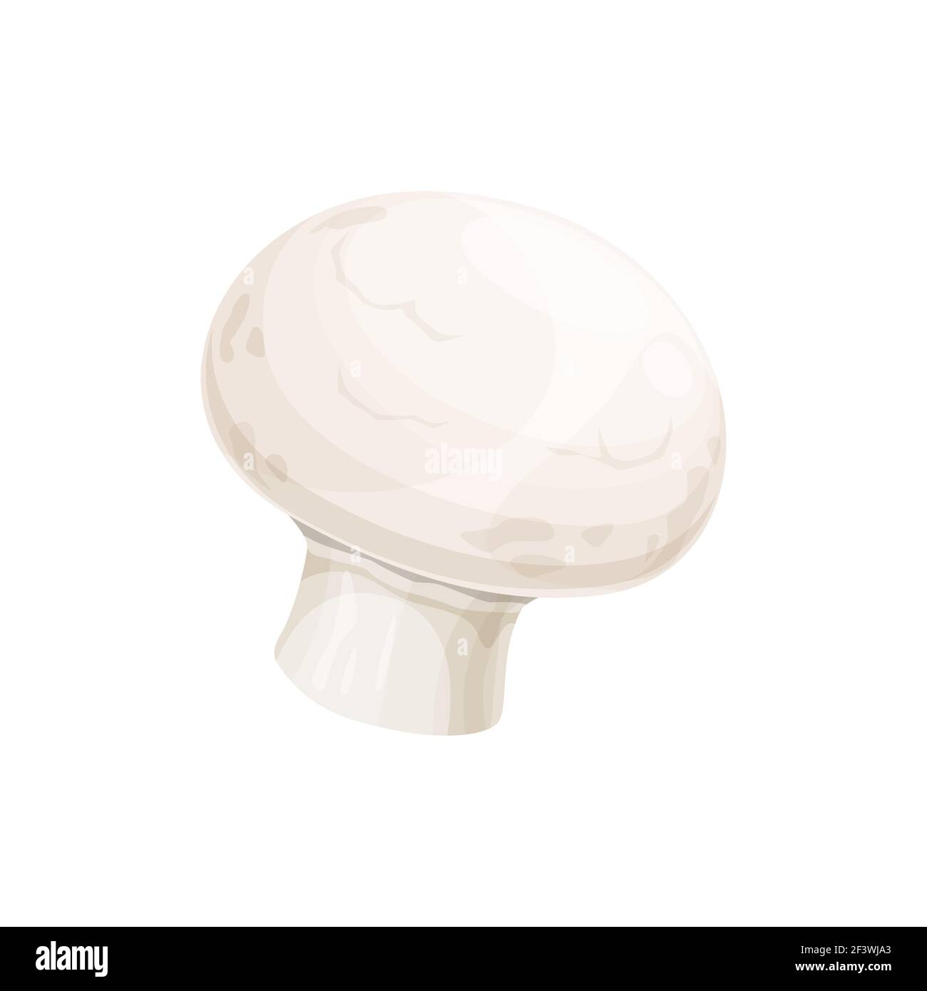 Small white mushroom champignon isolated 3D icon. 3D realistic icon. Vector cremini or crimini fungi, boletus porcini autumn fall food. Common white b Stock Vector