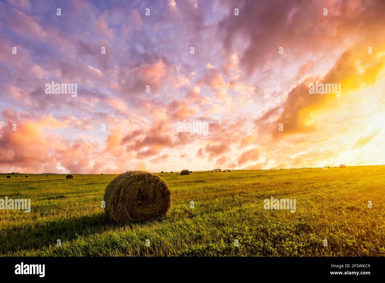 Sunset or sunrise in a field with haystacks on a summer or early autumn ...