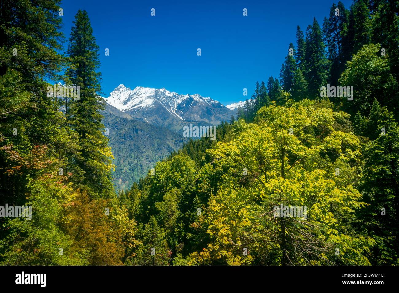 Landscape with the sky. A scenic village in the backdrop of the Himalayan mountains. Himachal Pradesh, India. Stock Photo