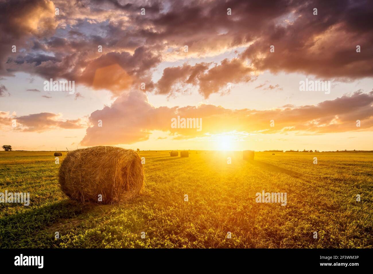 Sunset or sunrise in a field with haystacks on a summer or early autumn ...