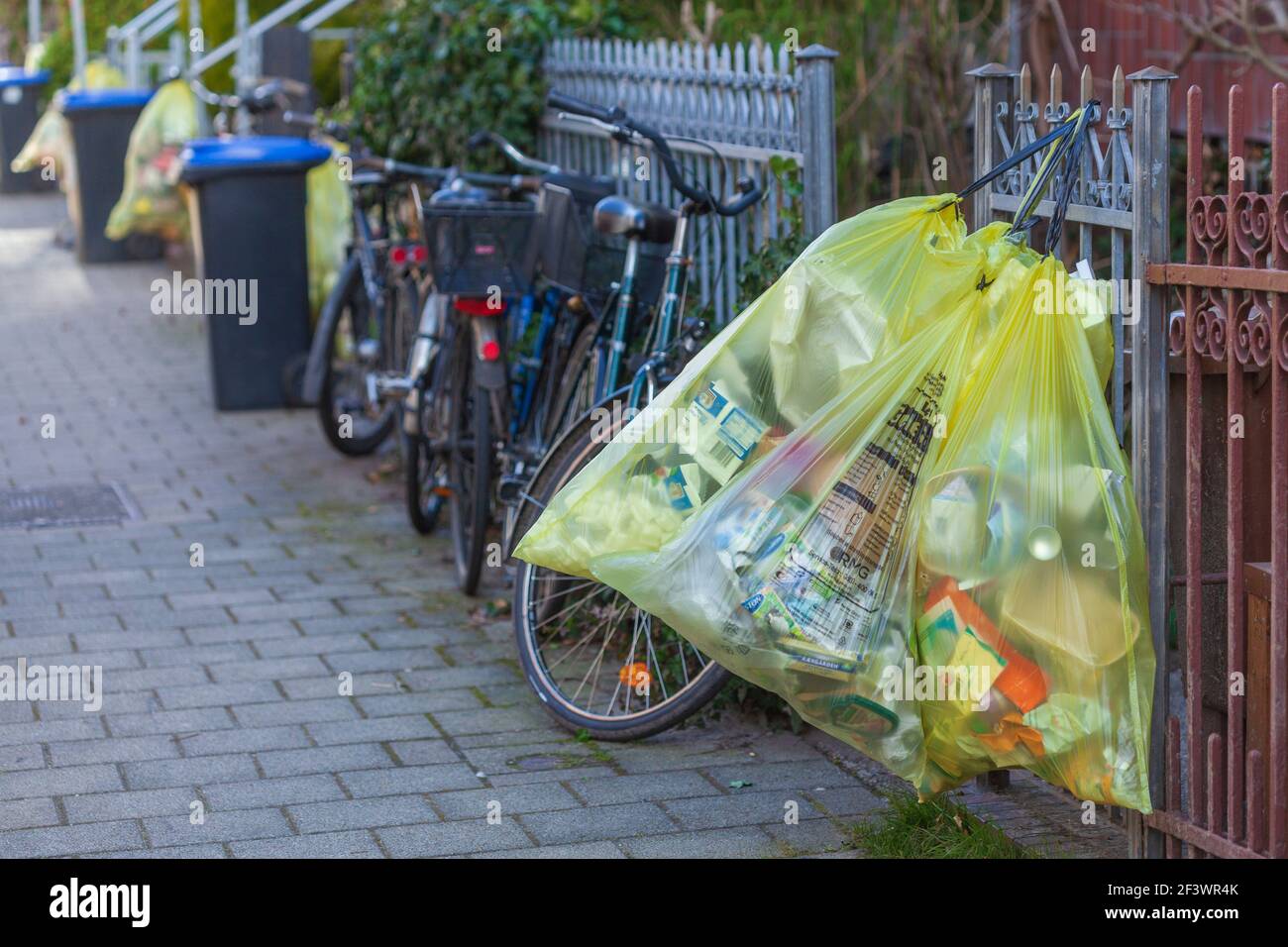 Yellow bags for plastic waste, hanging on a garden fence, Germany Stock Photo